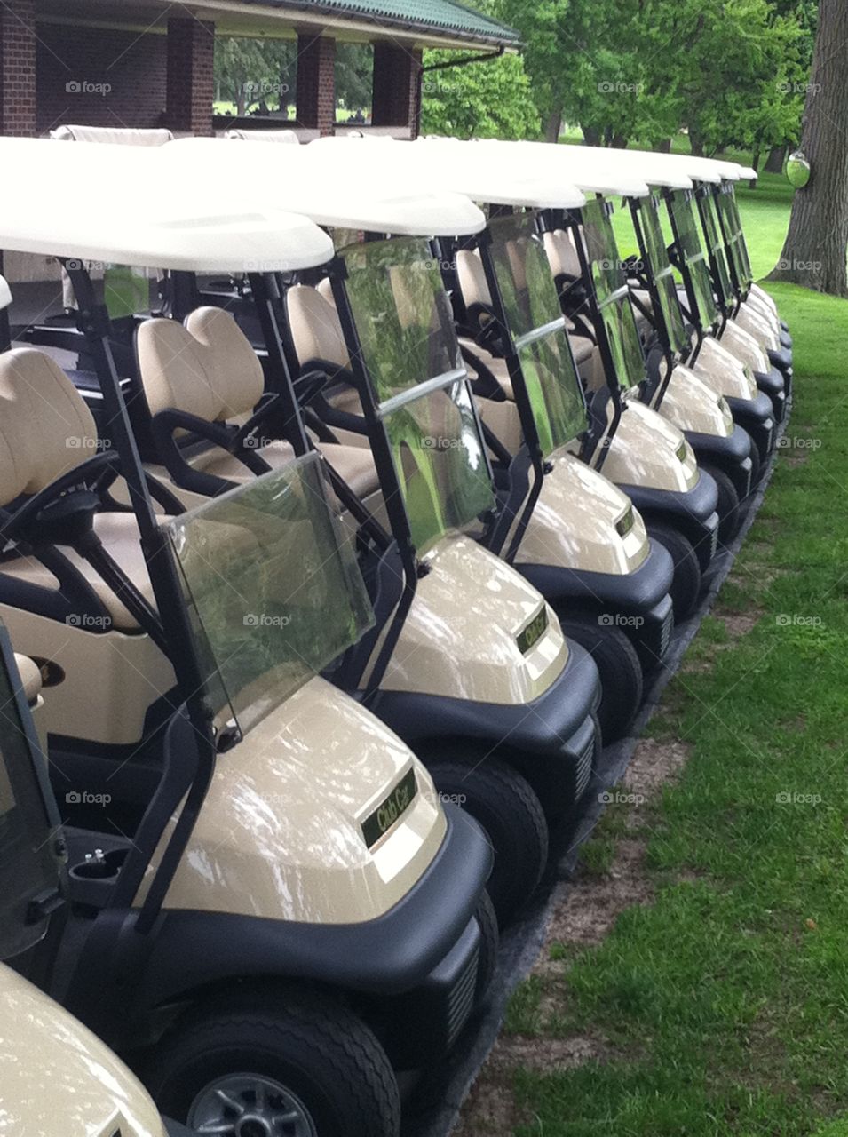 Golf carts lined up and ready for tee off 