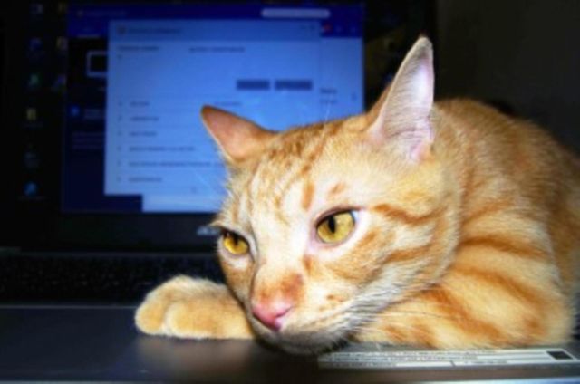 isidoro is working
