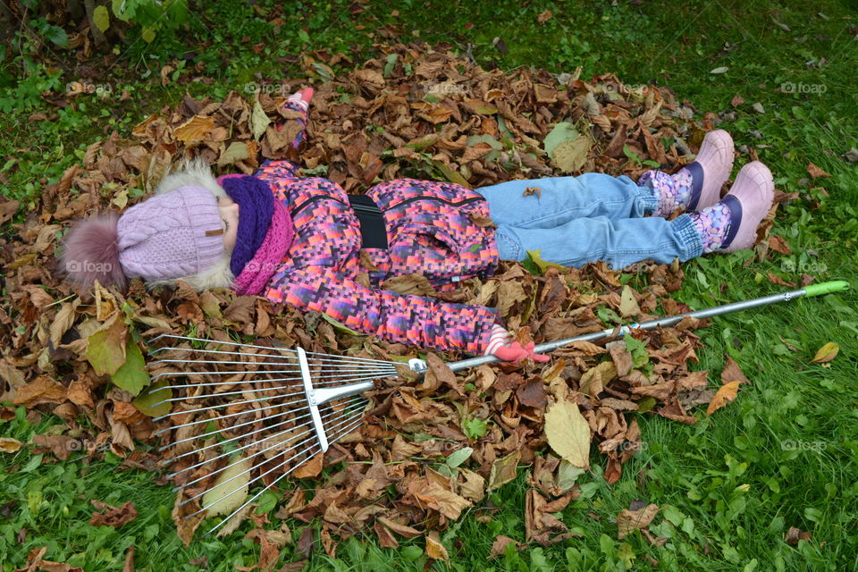 Garden, Leaf, Grass, Park, Outdoors