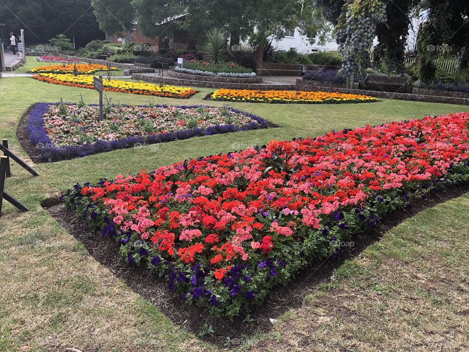 A lovely display of some fine horticulture work