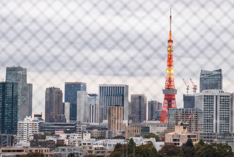 Tokyo tower in the morning 