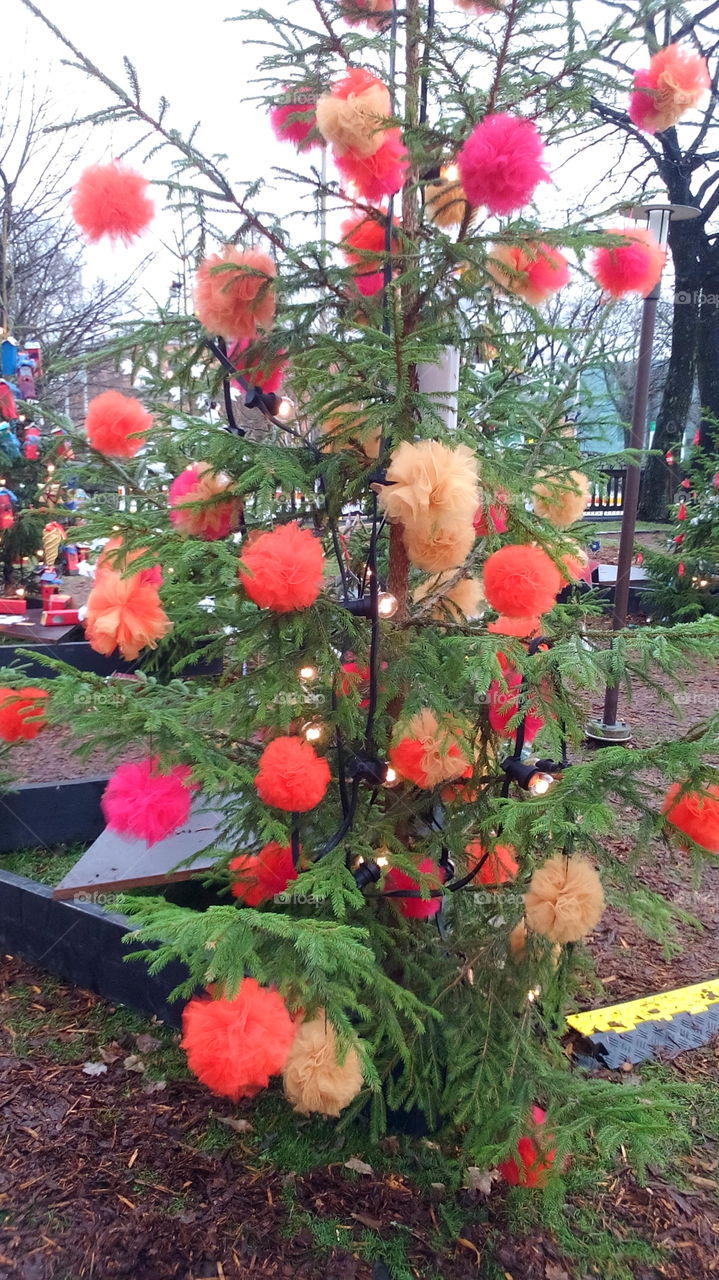 Exhibition of Christmas trees in Helsinki