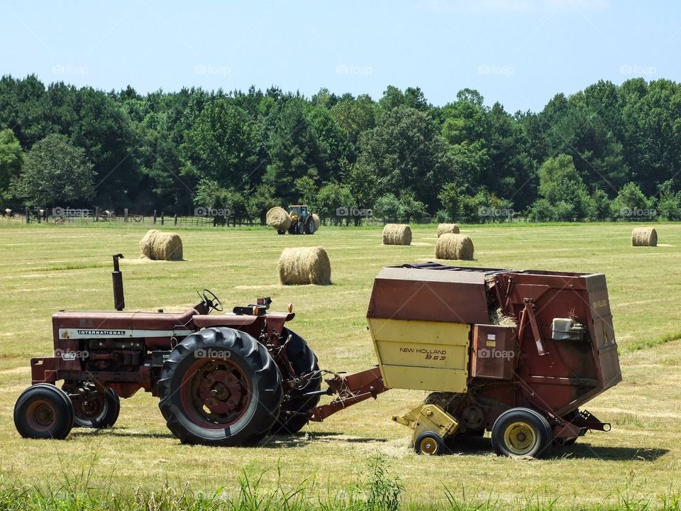 Hay rolls in Mississippi