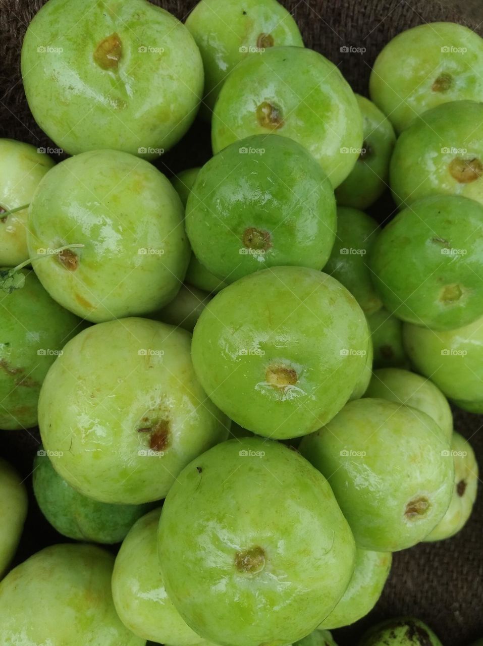 tinda, green vegetable, round in shape, very nutritious, use with other vegitable