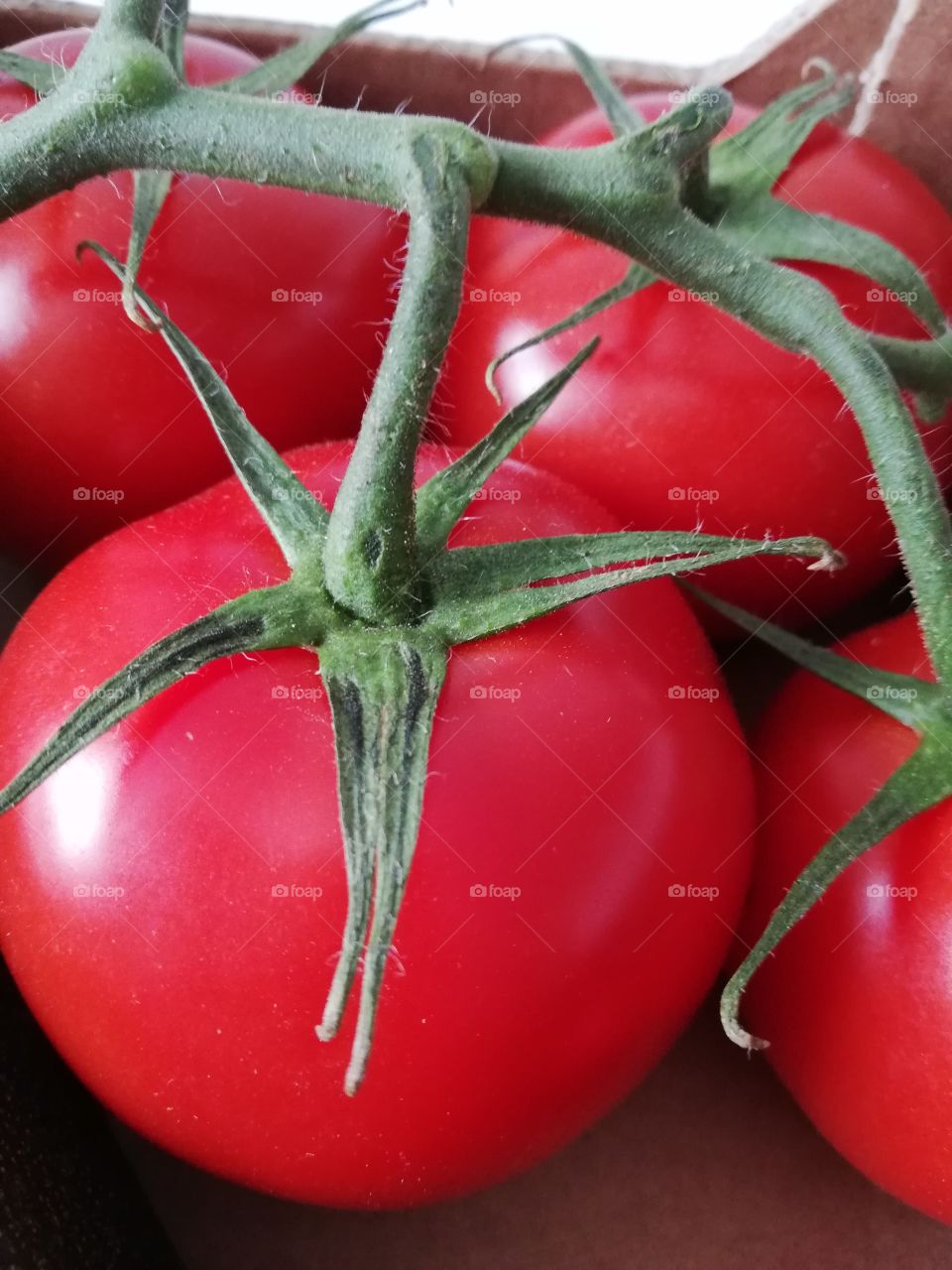 belles tomates rondes grappes
