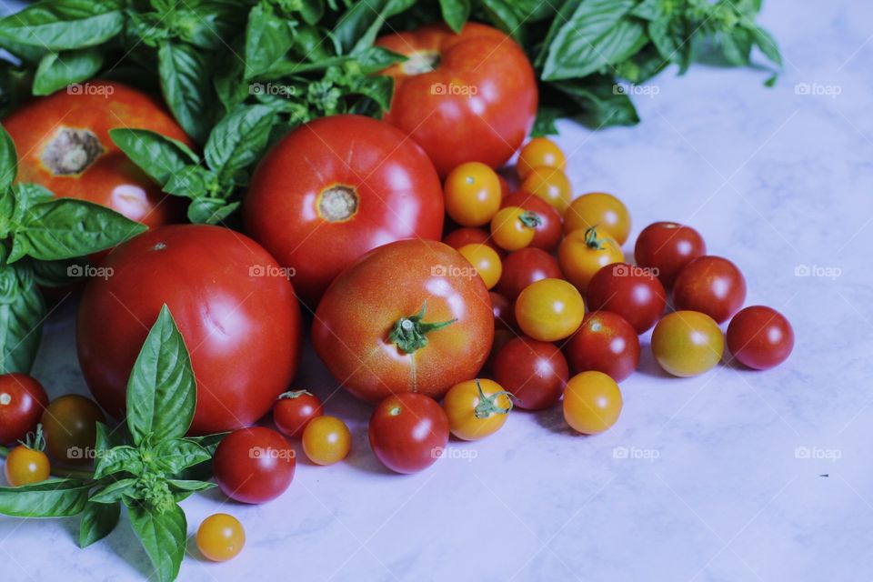 Tomato basil still life