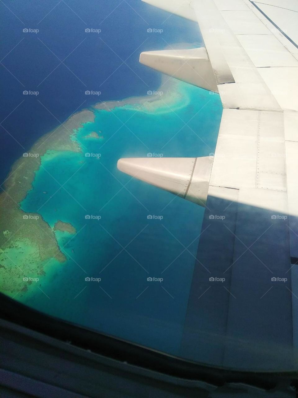 editors Choice photo on the week