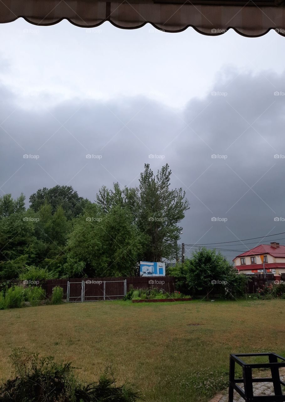 anticipating storm on  summer morning