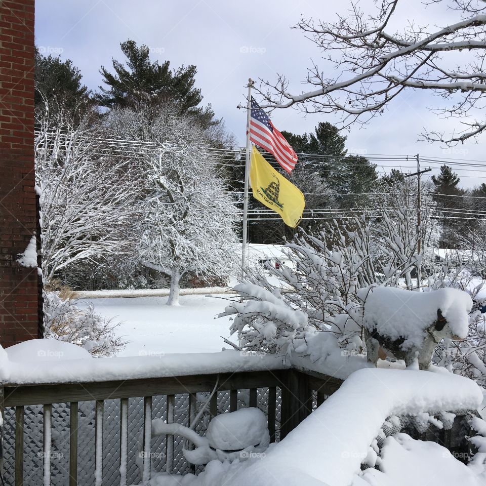 American Flag 🇺🇸 flying on flagpole after snowstorm. Don't Tread On Me flag flying on flagpole.