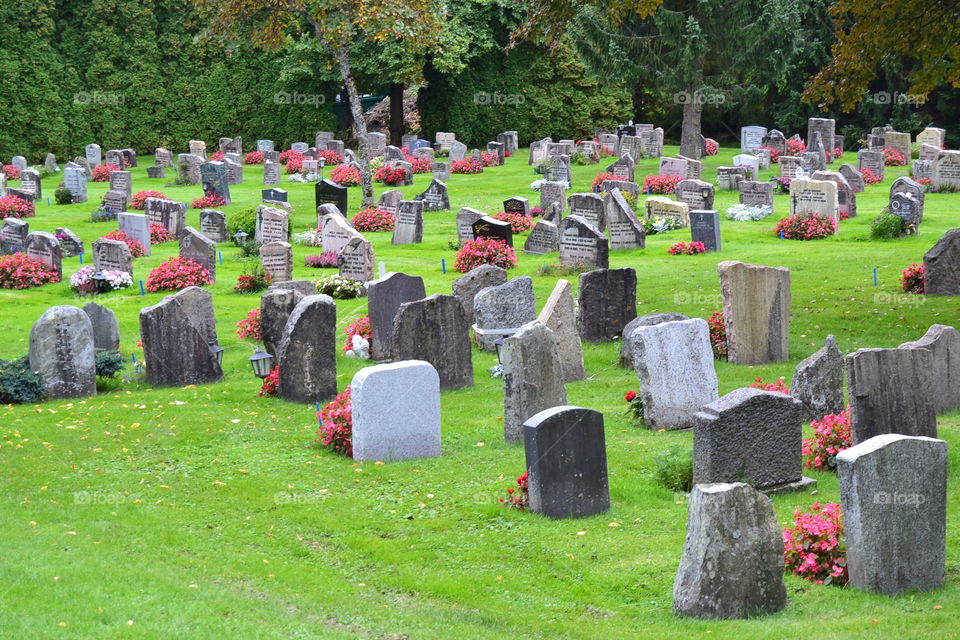 All souls and all saints day is coming don't forget to visit your loved ones.
