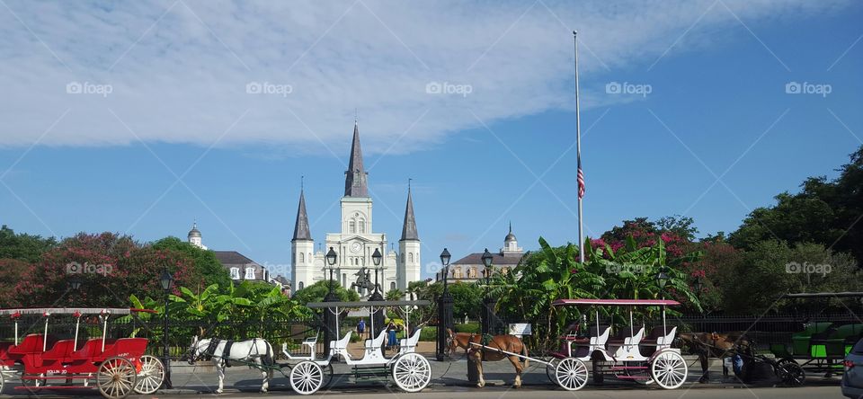 Magical New Orleans