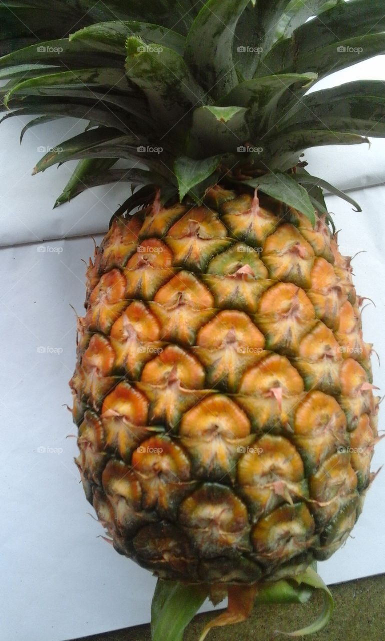a bright image of a pineapple,  indian pine apple ,a sweet fruit