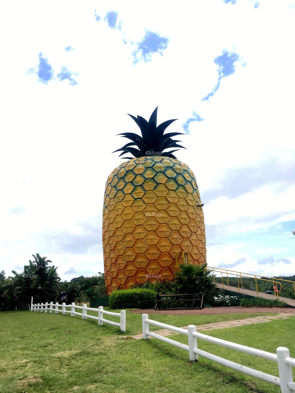 The big pineapple, Bathurst, South Africa 