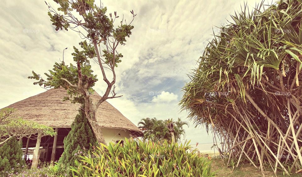 A Hut by the Seaside