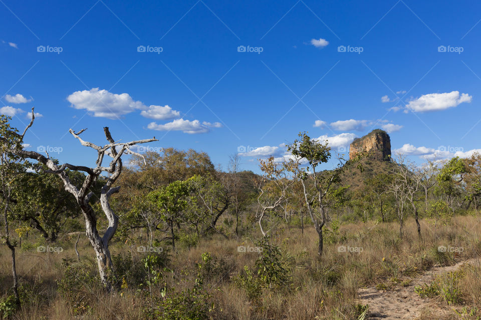 Chapada das Mesas Maranhao Brazil.