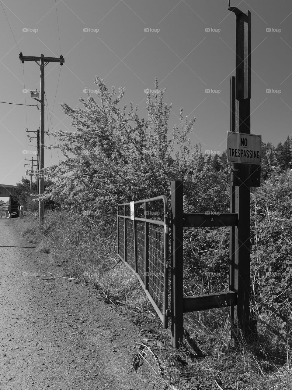 A “No Trespassing” hangs from a pole next to a metal gate amongst trees by a dirt road in Western Oregon. 