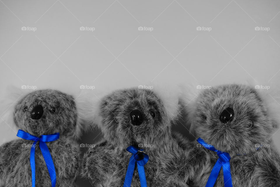 Three koala soft toys.