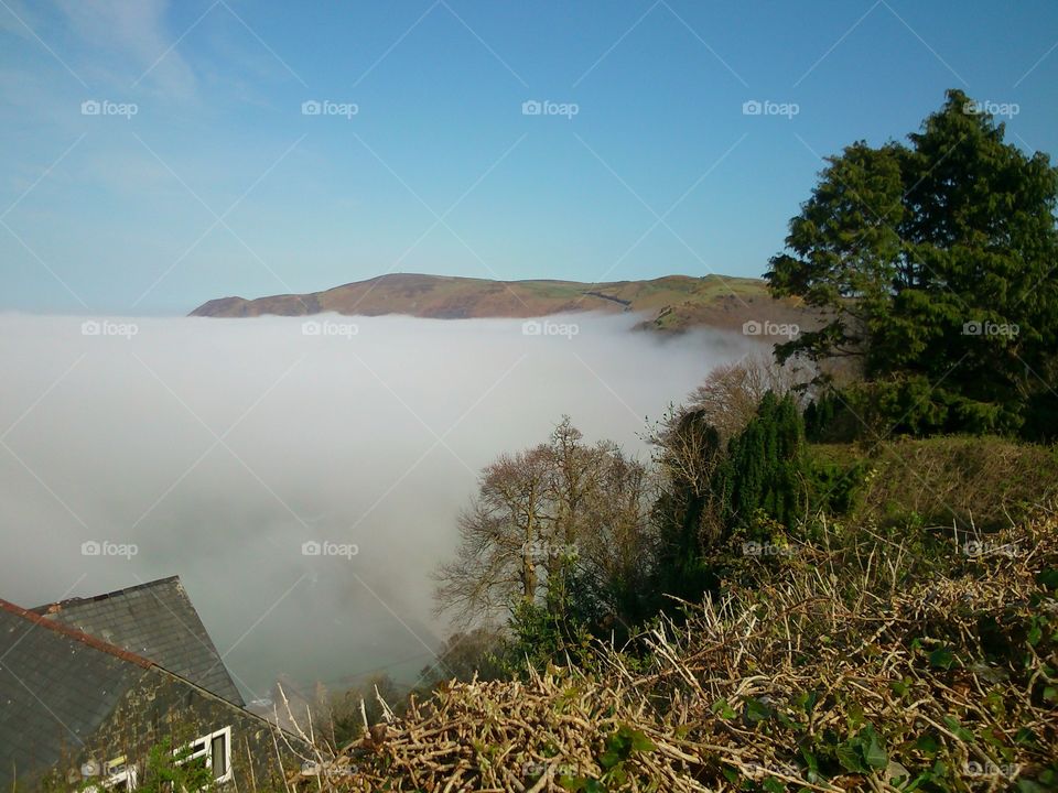 Fog resembling a coastline