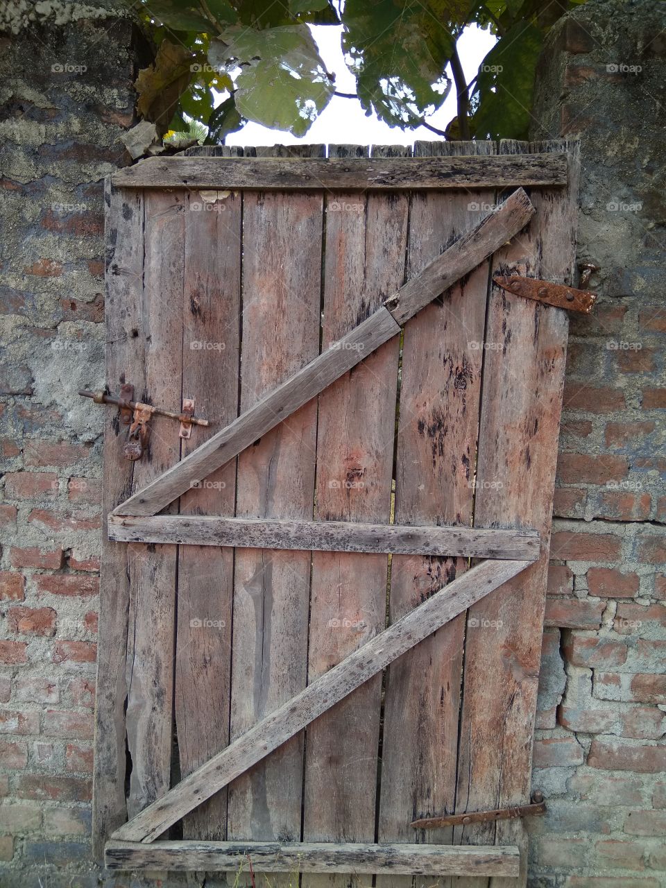 old rusty door..