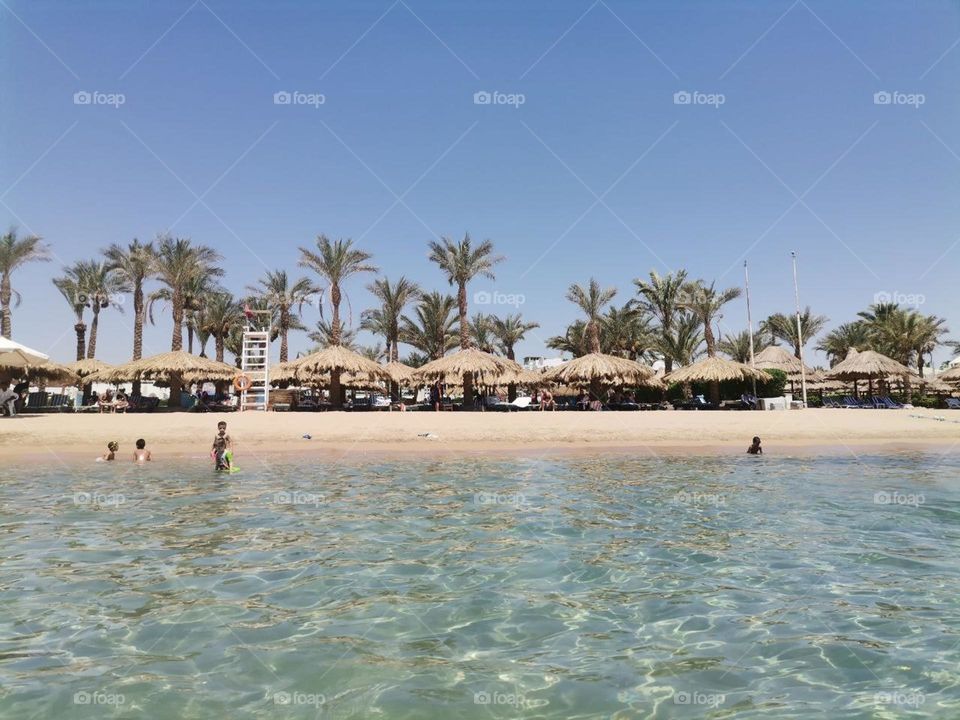 Beach Sharm 