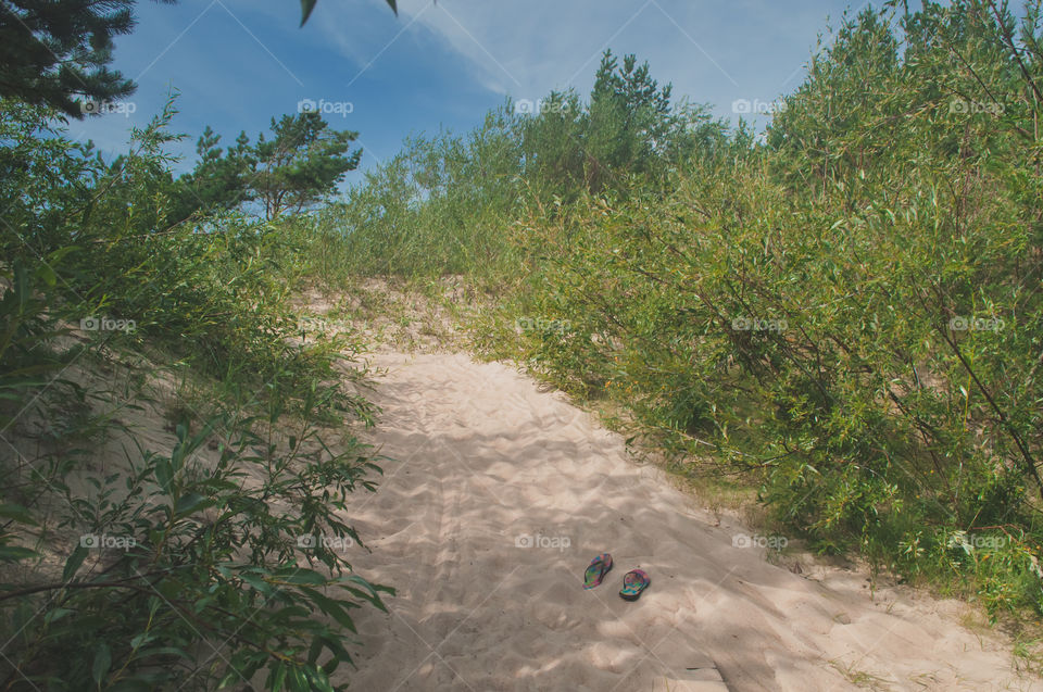 Palanga beach and dunes 