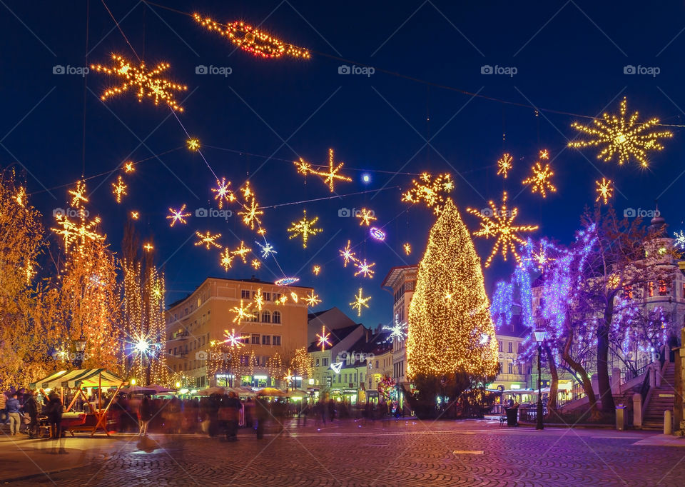 Illuminated christmas tree in city