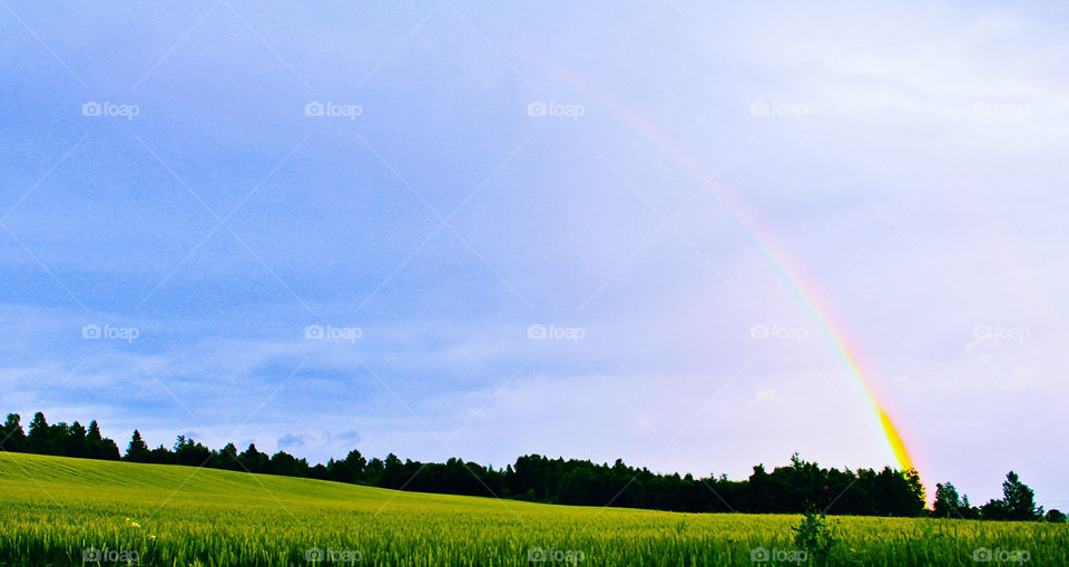 landscape norway field rainbow by genlock