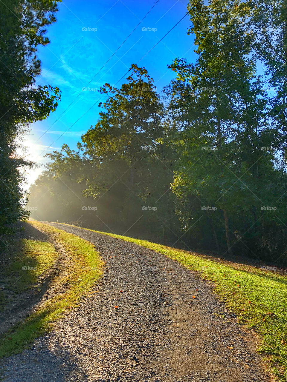 Sunrise on Backroad