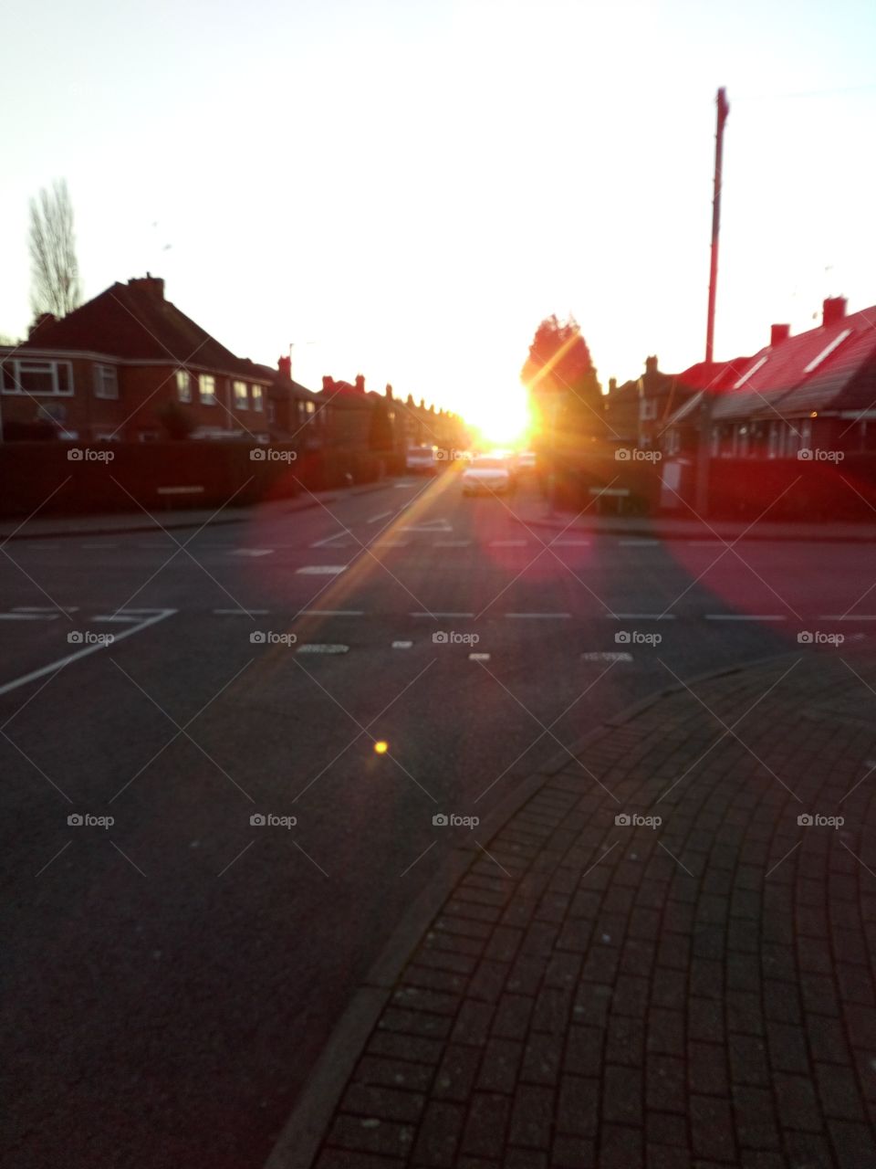 Sunset Road with lens flares