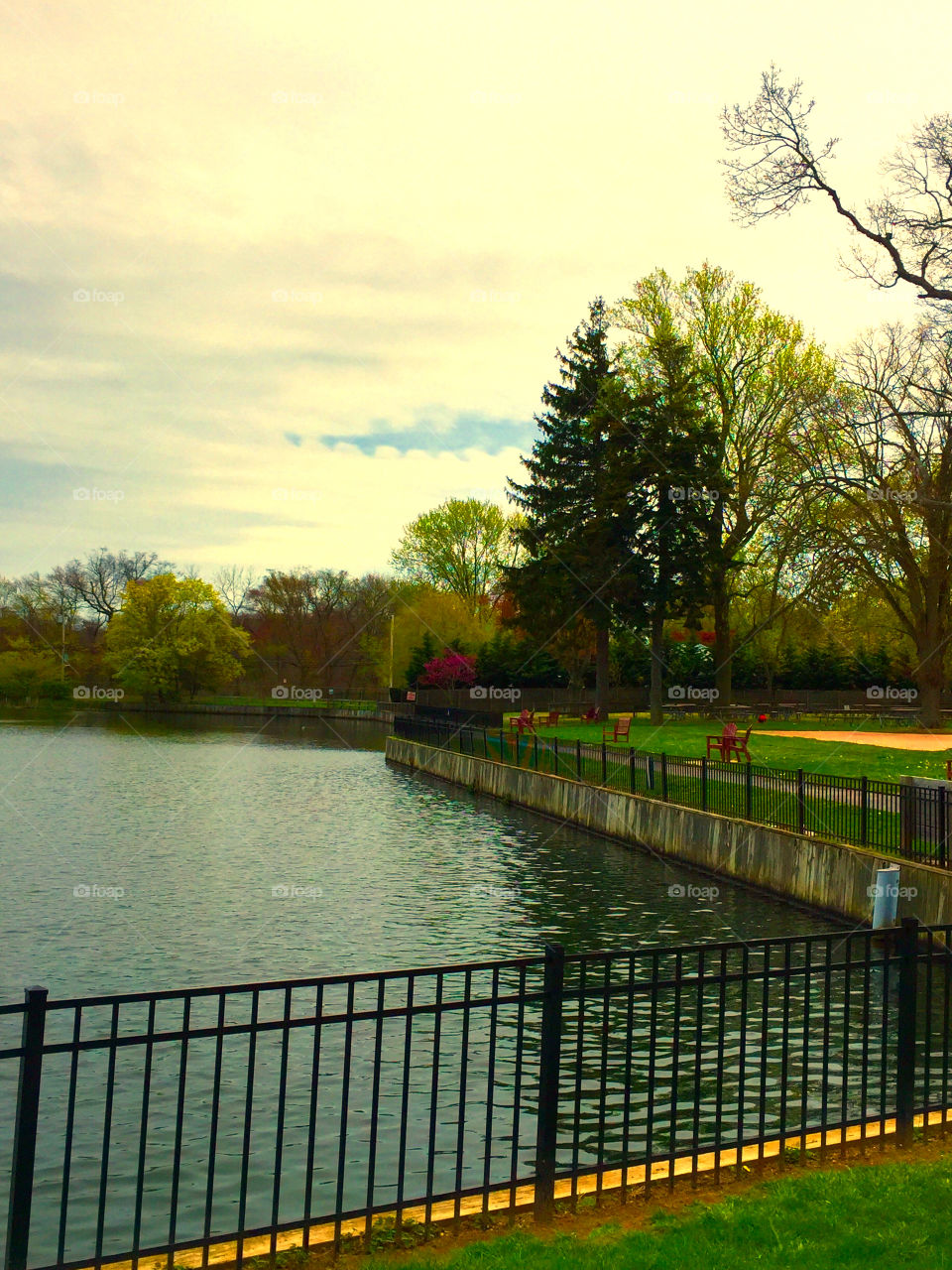 A day at the park