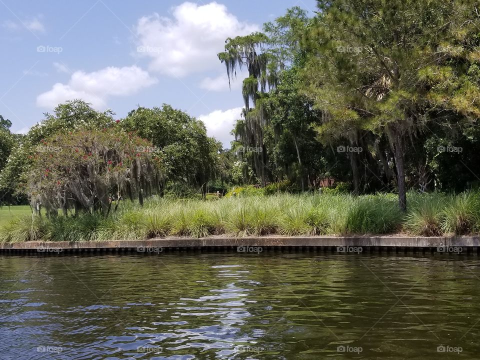Florida canal shoreline