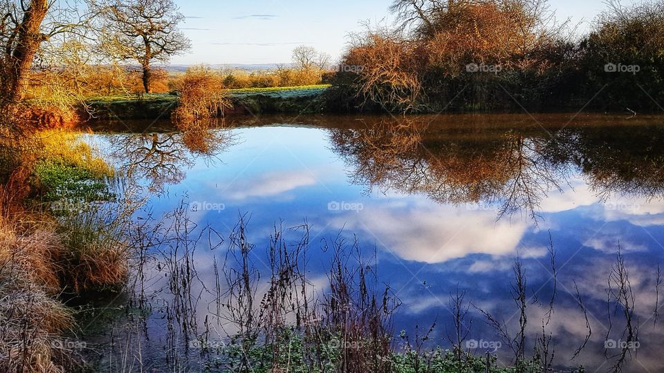 English country pond on a still, frosty morning