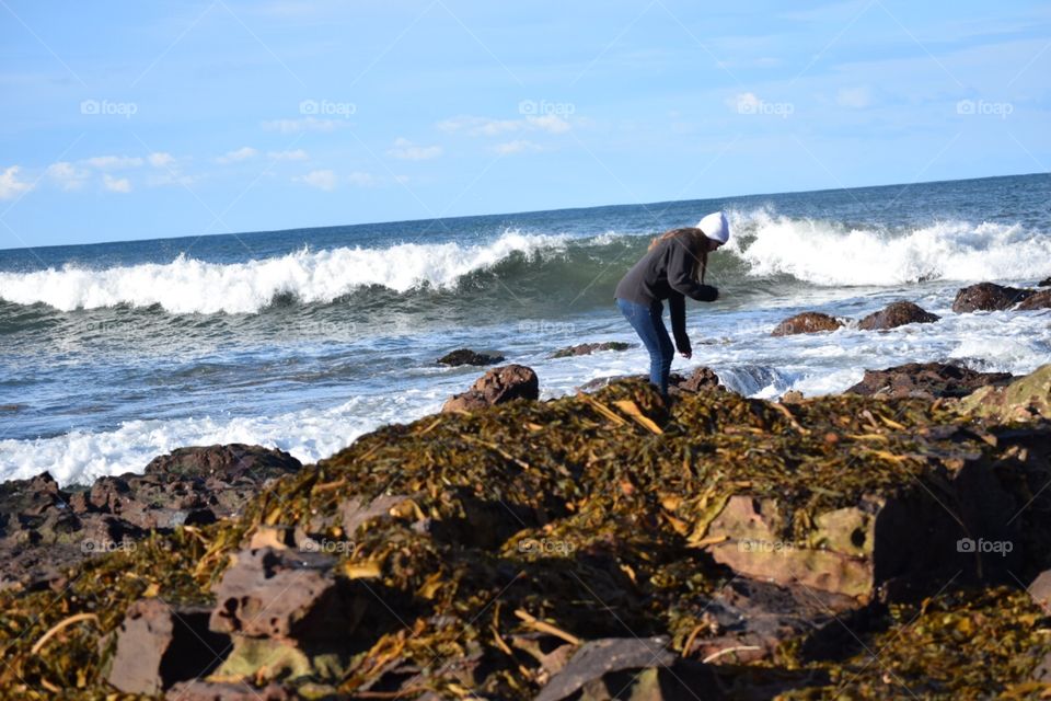 Exploring Down Under 