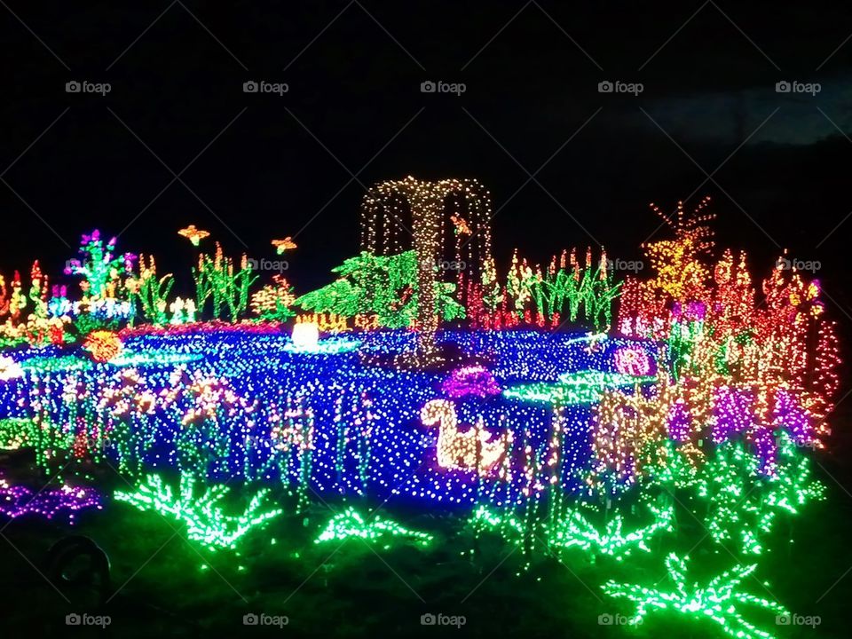 Botanical Holiday Lights