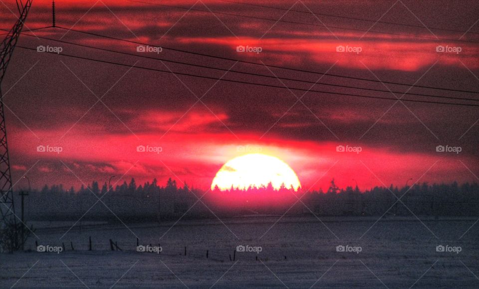 Spruce Grove sunset 