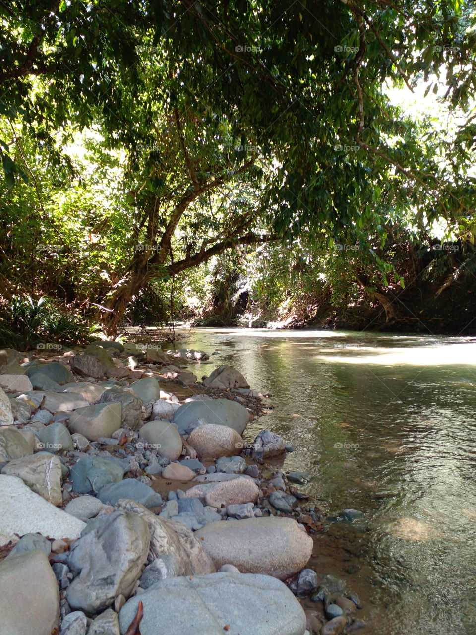 ..sitting by the river in the evening with the beautiful river scene is very relaxing and make me happy..forgot about all the stressful day in my everday life.