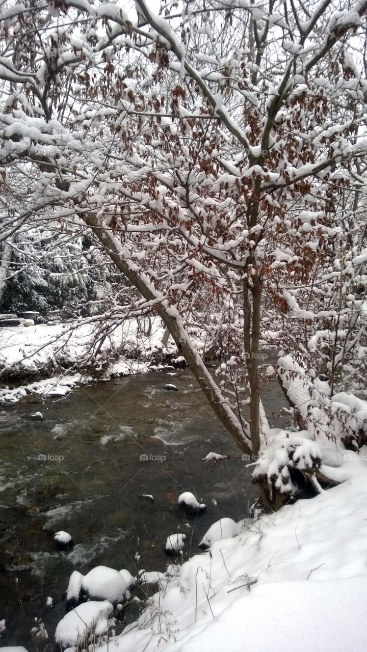 Snow and the Creek