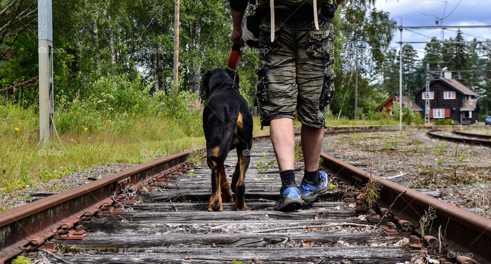 Man and dog