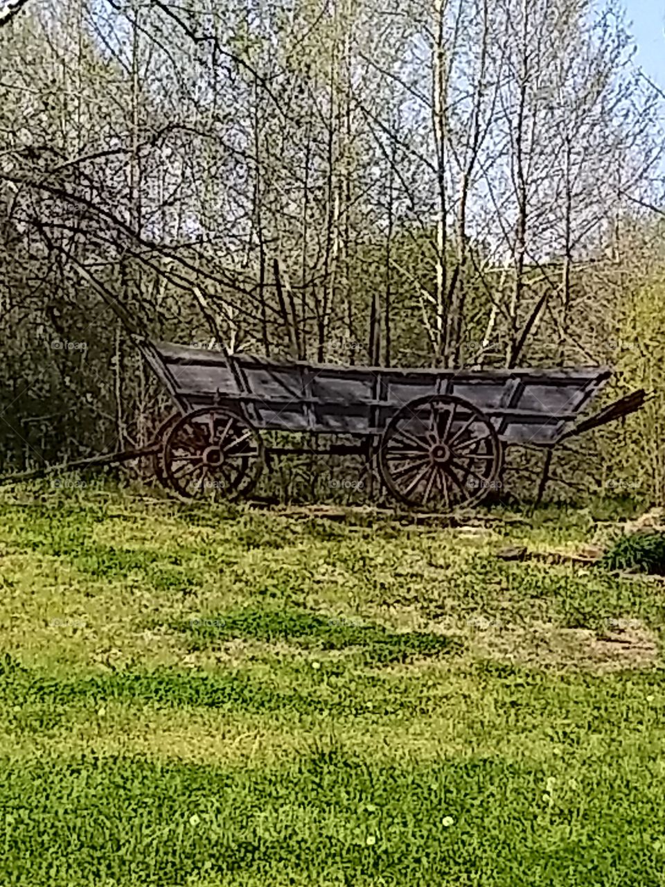Santa Fe Trail, old wagon.  Missouri.