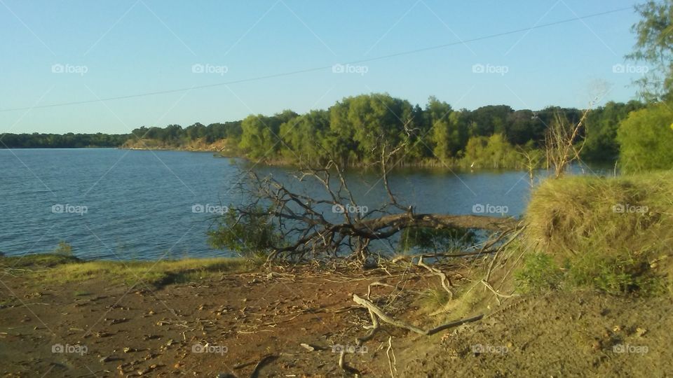 Water, Landscape, Nature, Tree, River