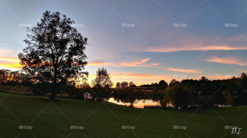 Golf, Tree, Landscape, Grass, Dawn