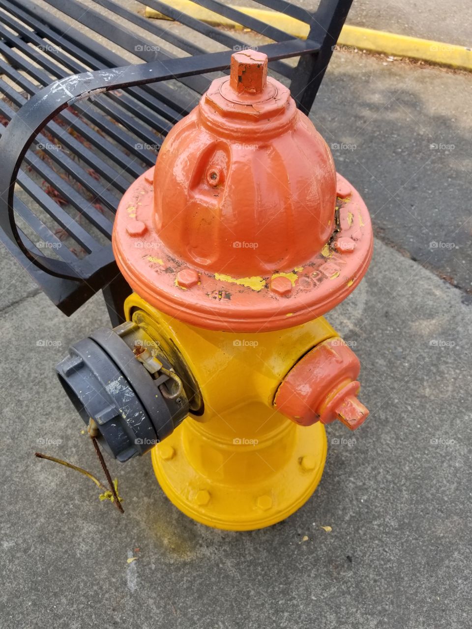 Cute small town fire hydrant