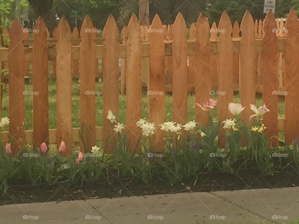 Picket fence spring 