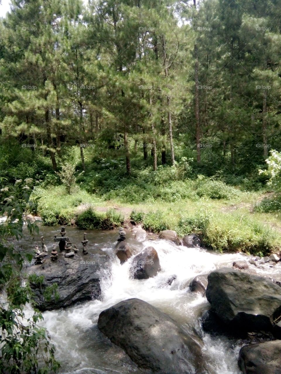 river in the morning