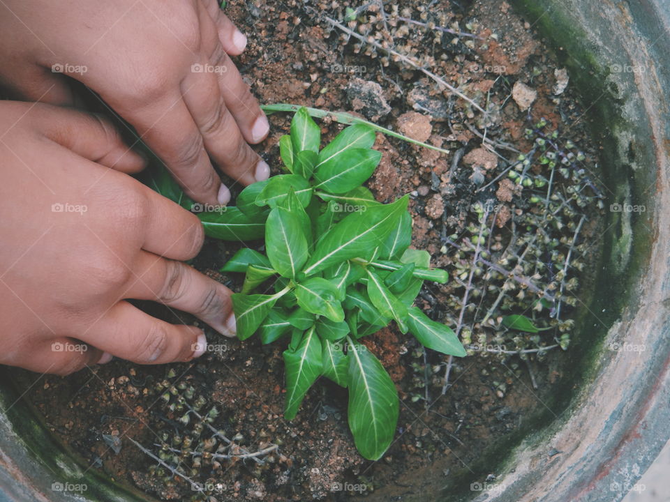 Gardening