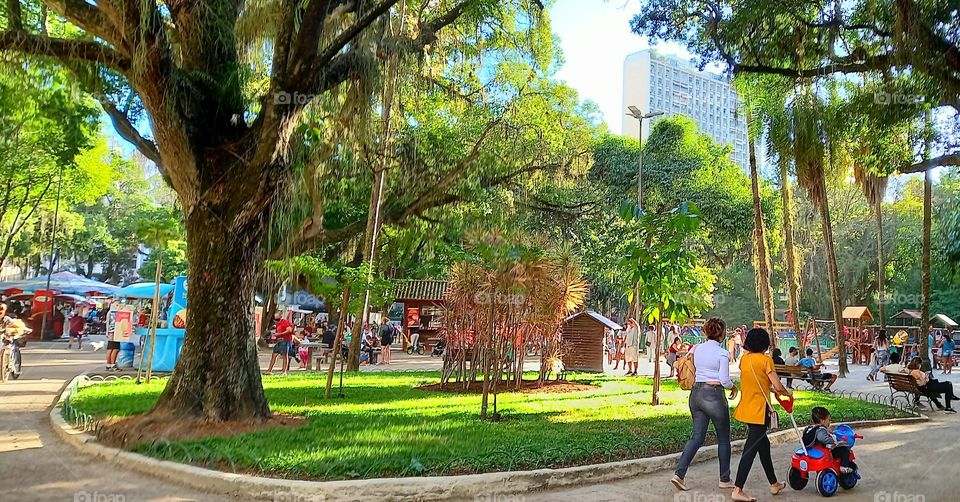 Parque Icaraí