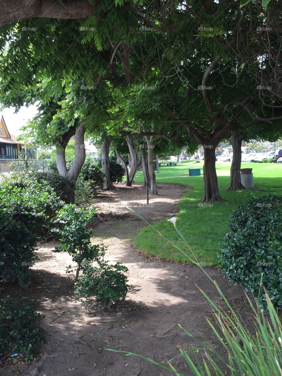 Park in the Village. I've lived here 17 years and never knew this was here. 