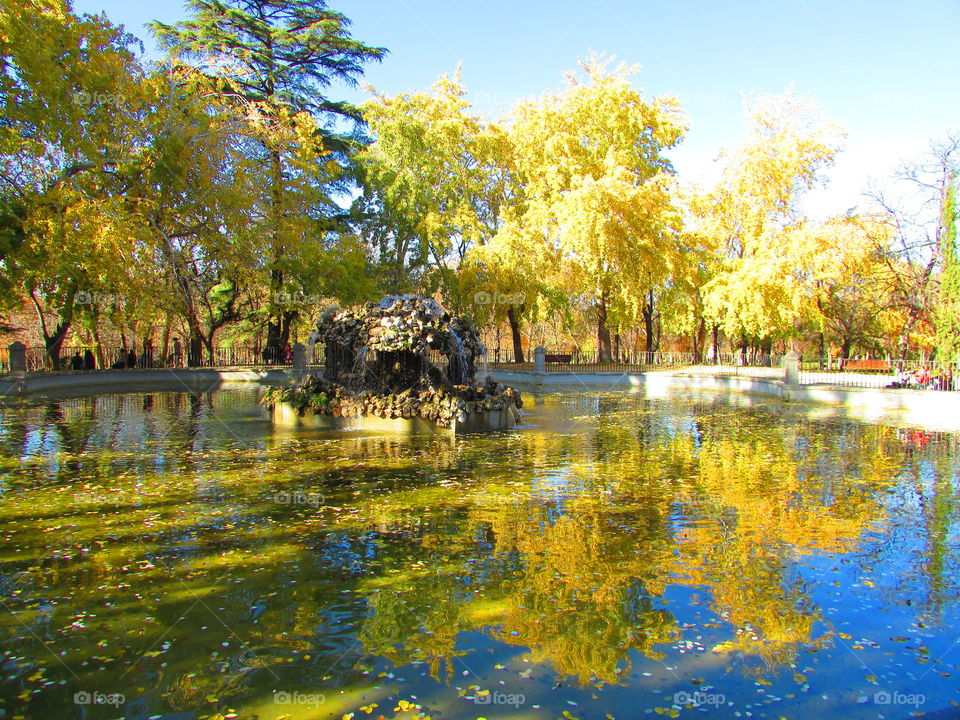 Autumn's reflections