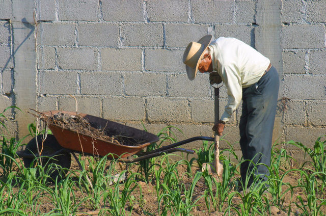 field ground terrain plant by hackobo