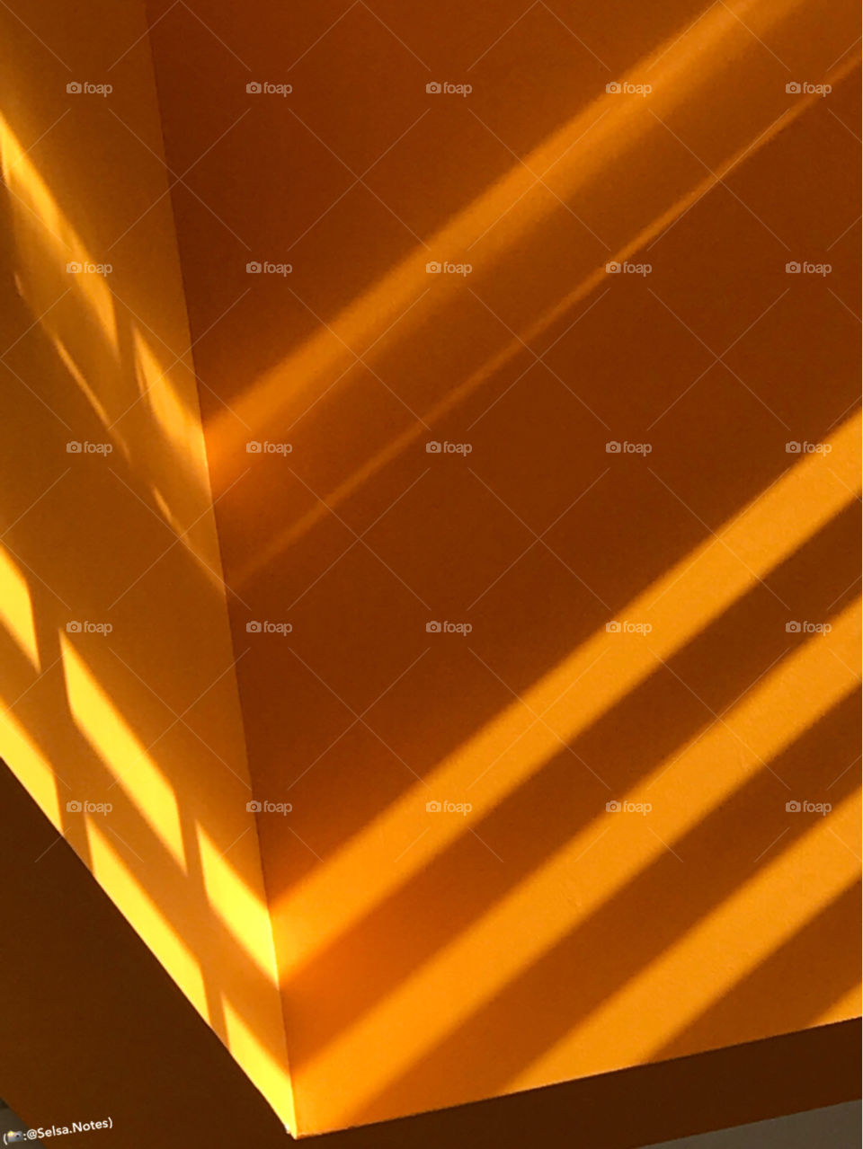 Abstract, Gradient, Curve, Futuristic, Bright